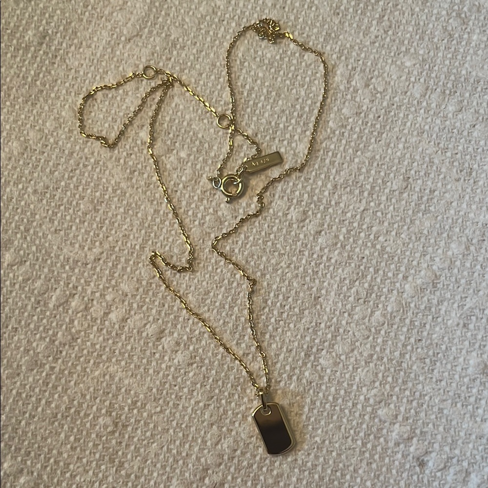 Aniahaie Gold Necklace with Pendant